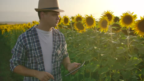 A-young-male-works-on-a-field-with-sunflowers-in-summer-day-and-studies-its-properties.-He-writes-information-to-his-tablet-PC